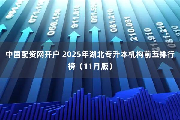 中国配资网开户 2025年湖北专升本机构前五排行榜（11月版）
