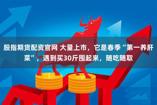 股指期货配资官网 大量上市，它是春季“第一养肝菜”，遇到买30斤囤起来，随吃随取